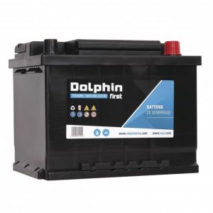 Batterie Dolphin First 60A