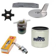 Kit révision pour moteur Honda BF35 - BF50