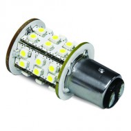 White bulb 30 leds DIXPLAY bayonets straight BA - 15 d