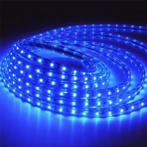 Bande LED 12V Bleue 8mm IP54