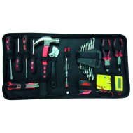 20 piece tool case.