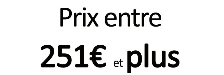 Prix entre 251€ et plus